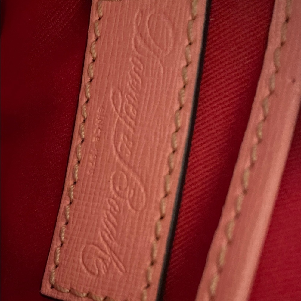 Dooney & Bourke Blush Camera Crossbody Bag - Picture 5 of 11
